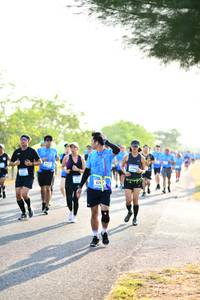 BIB: 
                            <button type="button" onclick="openModal(3401172)" class="btn btn-primary btn-sm float-right btn-popup" data-toggle="modal" data-target=".modal-high-quality">
                        <i class="fas fa-shopping-cart"></i> Add to Cart
                    </button>
                                            <button type="button" onclick="isThisMe(3401172, true)" class="btn btn-success btn-sm float-right btn-popup btn-isme hidden" data-toggle="tooltip" data-placement="bottom" title="นี่คือรูปของคุณใช่ไหม คลิกที่นี่เพื่อเอาเข้าอัลบั้ม">
                        <i class="fas fa-plus"></i> Add to album
                    </button>
                    <button type="button" onclick="isThisMe(3401172, false)" class="btn btn-warning btn-sm float-right btn-popup btn-isnotme hidden">
                        <i class="fas fa-ban"></i> Remove from album
                    </button>