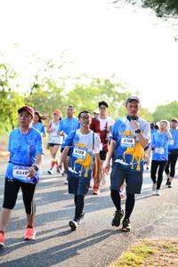 BIB: 6708, 6709
                            <button type="button" onclick="openModal(3404688)" class="btn btn-primary btn-sm float-right btn-popup" data-toggle="modal" data-target=".modal-high-quality">
                        <i class="fas fa-shopping-cart"></i> Add to Cart
                    </button>
                                            <button type="button" onclick="isThisMe(3404688, true)" class="btn btn-success btn-sm float-right btn-popup btn-isme hidden" data-toggle="tooltip" data-placement="bottom" title="นี่คือรูปของคุณใช่ไหม คลิกที่นี่เพื่อเอาเข้าอัลบั้ม">
                        <i class="fas fa-plus"></i> Add to album
                    </button>
                    <button type="button" onclick="isThisMe(3404688, false)" class="btn btn-warning btn-sm float-right btn-popup btn-isnotme hidden">
                        <i class="fas fa-ban"></i> Remove from album
                    </button>