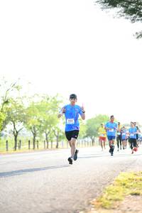 BIB: 
                            <button type="button" onclick="openModal(3392961)" class="btn btn-primary btn-sm float-right btn-popup" data-toggle="modal" data-target=".modal-high-quality">
                        <i class="fas fa-shopping-cart"></i> Add to Cart
                    </button>
                                            <button type="button" onclick="isThisMe(3392961, true)" class="btn btn-success btn-sm float-right btn-popup btn-isme hidden" data-toggle="tooltip" data-placement="bottom" title="นี่คือรูปของคุณใช่ไหม คลิกที่นี่เพื่อเอาเข้าอัลบั้ม">
                        <i class="fas fa-plus"></i> Add to album
                    </button>
                    <button type="button" onclick="isThisMe(3392961, false)" class="btn btn-warning btn-sm float-right btn-popup btn-isnotme hidden">
                        <i class="fas fa-ban"></i> Remove from album
                    </button>