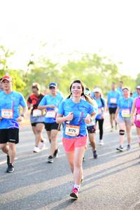 BIB: 210, 9175
                            <button type="button" onclick="openModal(3417910)" class="btn btn-primary btn-sm float-right btn-popup" data-toggle="modal" data-target=".modal-high-quality">
                        <i class="fas fa-shopping-cart"></i> Add to Cart
                    </button>
                                            <button type="button" onclick="isThisMe(3417910, true)" class="btn btn-success btn-sm float-right btn-popup btn-isme hidden" data-toggle="tooltip" data-placement="bottom" title="นี่คือรูปของคุณใช่ไหม คลิกที่นี่เพื่อเอาเข้าอัลบั้ม">
                        <i class="fas fa-plus"></i> Add to album
                    </button>
                    <button type="button" onclick="isThisMe(3417910, false)" class="btn btn-warning btn-sm float-right btn-popup btn-isnotme hidden">
                        <i class="fas fa-ban"></i> Remove from album
                    </button>
