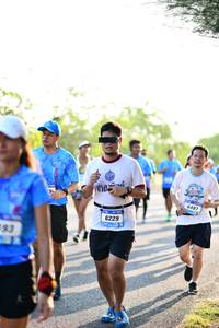 BIB: 6487, 6229
                            <button type="button" onclick="openModal(3402259)" class="btn btn-primary btn-sm float-right btn-popup" data-toggle="modal" data-target=".modal-high-quality">
                        <i class="fas fa-shopping-cart"></i> Add to Cart
                    </button>
                                            <button type="button" onclick="isThisMe(3402259, true)" class="btn btn-success btn-sm float-right btn-popup btn-isme hidden" data-toggle="tooltip" data-placement="bottom" title="นี่คือรูปของคุณใช่ไหม คลิกที่นี่เพื่อเอาเข้าอัลบั้ม">
                        <i class="fas fa-plus"></i> Add to album
                    </button>
                    <button type="button" onclick="isThisMe(3402259, false)" class="btn btn-warning btn-sm float-right btn-popup btn-isnotme hidden">
                        <i class="fas fa-ban"></i> Remove from album
                    </button>