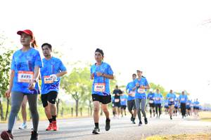 BIB: 8662
                            <button type="button" onclick="openModal(3407495)" class="btn btn-primary btn-sm float-right btn-popup" data-toggle="modal" data-target=".modal-high-quality">
                        <i class="fas fa-shopping-cart"></i> Add to Cart
                    </button>
                                            <button type="button" onclick="isThisMe(3407495, true)" class="btn btn-success btn-sm float-right btn-popup btn-isme hidden" data-toggle="tooltip" data-placement="bottom" title="นี่คือรูปของคุณใช่ไหม คลิกที่นี่เพื่อเอาเข้าอัลบั้ม">
                        <i class="fas fa-plus"></i> Add to album
                    </button>
                    <button type="button" onclick="isThisMe(3407495, false)" class="btn btn-warning btn-sm float-right btn-popup btn-isnotme hidden">
                        <i class="fas fa-ban"></i> Remove from album
                    </button>