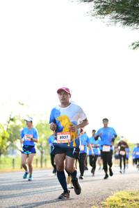 BIB: 
                            <button type="button" onclick="openModal(3406945)" class="btn btn-primary btn-sm float-right btn-popup" data-toggle="modal" data-target=".modal-high-quality">
                        <i class="fas fa-shopping-cart"></i> Add to Cart
                    </button>
                                            <button type="button" onclick="isThisMe(3406945, true)" class="btn btn-success btn-sm float-right btn-popup btn-isme hidden" data-toggle="tooltip" data-placement="bottom" title="นี่คือรูปของคุณใช่ไหม คลิกที่นี่เพื่อเอาเข้าอัลบั้ม">
                        <i class="fas fa-plus"></i> Add to album
                    </button>
                    <button type="button" onclick="isThisMe(3406945, false)" class="btn btn-warning btn-sm float-right btn-popup btn-isnotme hidden">
                        <i class="fas fa-ban"></i> Remove from album
                    </button>