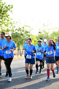 BIB: 630, 6039, 6042
                            <button type="button" onclick="openModal(3404617)" class="btn btn-primary btn-sm float-right btn-popup" data-toggle="modal" data-target=".modal-high-quality">
                        <i class="fas fa-shopping-cart"></i> Add to Cart
                    </button>
                                            <button type="button" onclick="isThisMe(3404617, true)" class="btn btn-success btn-sm float-right btn-popup btn-isme hidden" data-toggle="tooltip" data-placement="bottom" title="นี่คือรูปของคุณใช่ไหม คลิกที่นี่เพื่อเอาเข้าอัลบั้ม">
                        <i class="fas fa-plus"></i> Add to album
                    </button>
                    <button type="button" onclick="isThisMe(3404617, false)" class="btn btn-warning btn-sm float-right btn-popup btn-isnotme hidden">
                        <i class="fas fa-ban"></i> Remove from album
                    </button>