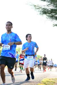 BIB: 399, 6871
                            <button type="button" onclick="openModal(3394066)" class="btn btn-primary btn-sm float-right btn-popup" data-toggle="modal" data-target=".modal-high-quality">
                        <i class="fas fa-shopping-cart"></i> Add to Cart
                    </button>
                                            <button type="button" onclick="isThisMe(3394066, true)" class="btn btn-success btn-sm float-right btn-popup btn-isme hidden" data-toggle="tooltip" data-placement="bottom" title="นี่คือรูปของคุณใช่ไหม คลิกที่นี่เพื่อเอาเข้าอัลบั้ม">
                        <i class="fas fa-plus"></i> Add to album
                    </button>
                    <button type="button" onclick="isThisMe(3394066, false)" class="btn btn-warning btn-sm float-right btn-popup btn-isnotme hidden">
                        <i class="fas fa-ban"></i> Remove from album
                    </button>