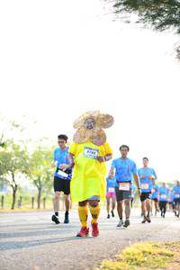 BIB: 6793
                            <button type="button" onclick="openModal(3406513)" class="btn btn-primary btn-sm float-right btn-popup" data-toggle="modal" data-target=".modal-high-quality">
                        <i class="fas fa-shopping-cart"></i> Add to Cart
                    </button>
                                            <button type="button" onclick="isThisMe(3406513, true)" class="btn btn-success btn-sm float-right btn-popup btn-isme hidden" data-toggle="tooltip" data-placement="bottom" title="นี่คือรูปของคุณใช่ไหม คลิกที่นี่เพื่อเอาเข้าอัลบั้ม">
                        <i class="fas fa-plus"></i> Add to album
                    </button>
                    <button type="button" onclick="isThisMe(3406513, false)" class="btn btn-warning btn-sm float-right btn-popup btn-isnotme hidden">
                        <i class="fas fa-ban"></i> Remove from album
                    </button>