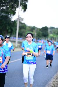 BIB: 8814
                            <button type="button" onclick="openModal(3437253)" class="btn btn-primary btn-sm float-right btn-popup" data-toggle="modal" data-target=".modal-high-quality">
                        <i class="fas fa-shopping-cart"></i> Add to Cart
                    </button>
                                            <button type="button" onclick="isThisMe(3437253, true)" class="btn btn-success btn-sm float-right btn-popup btn-isme hidden" data-toggle="tooltip" data-placement="bottom" title="นี่คือรูปของคุณใช่ไหม คลิกที่นี่เพื่อเอาเข้าอัลบั้ม">
                        <i class="fas fa-plus"></i> Add to album
                    </button>
                    <button type="button" onclick="isThisMe(3437253, false)" class="btn btn-warning btn-sm float-right btn-popup btn-isnotme hidden">
                        <i class="fas fa-ban"></i> Remove from album
                    </button>