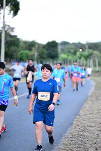 BIB: 9853
                            <button type="button" onclick="openModal(3437277)" class="btn btn-primary btn-sm float-right btn-popup" data-toggle="modal" data-target=".modal-high-quality">
                        <i class="fas fa-shopping-cart"></i> Add to Cart
                    </button>
                                            <button type="button" onclick="isThisMe(3437277, true)" class="btn btn-success btn-sm float-right btn-popup btn-isme hidden" data-toggle="tooltip" data-placement="bottom" title="นี่คือรูปของคุณใช่ไหม คลิกที่นี่เพื่อเอาเข้าอัลบั้ม">
                        <i class="fas fa-plus"></i> Add to album
                    </button>
                    <button type="button" onclick="isThisMe(3437277, false)" class="btn btn-warning btn-sm float-right btn-popup btn-isnotme hidden">
                        <i class="fas fa-ban"></i> Remove from album
                    </button>