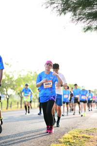 BIB: 8462
                            <button type="button" onclick="openModal(3407683)" class="btn btn-primary btn-sm float-right btn-popup" data-toggle="modal" data-target=".modal-high-quality">
                        <i class="fas fa-shopping-cart"></i> Add to Cart
                    </button>
                                            <button type="button" onclick="isThisMe(3407683, true)" class="btn btn-success btn-sm float-right btn-popup btn-isme hidden" data-toggle="tooltip" data-placement="bottom" title="นี่คือรูปของคุณใช่ไหม คลิกที่นี่เพื่อเอาเข้าอัลบั้ม">
                        <i class="fas fa-plus"></i> Add to album
                    </button>
                    <button type="button" onclick="isThisMe(3407683, false)" class="btn btn-warning btn-sm float-right btn-popup btn-isnotme hidden">
                        <i class="fas fa-ban"></i> Remove from album
                    </button>