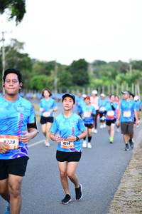 BIB: 811, 739
                            <button type="button" onclick="openModal(3435811)" class="btn btn-primary btn-sm float-right btn-popup" data-toggle="modal" data-target=".modal-high-quality">
                        <i class="fas fa-shopping-cart"></i> Add to Cart
                    </button>
                                            <button type="button" onclick="isThisMe(3435811, true)" class="btn btn-success btn-sm float-right btn-popup btn-isme hidden" data-toggle="tooltip" data-placement="bottom" title="นี่คือรูปของคุณใช่ไหม คลิกที่นี่เพื่อเอาเข้าอัลบั้ม">
                        <i class="fas fa-plus"></i> Add to album
                    </button>
                    <button type="button" onclick="isThisMe(3435811, false)" class="btn btn-warning btn-sm float-right btn-popup btn-isnotme hidden">
                        <i class="fas fa-ban"></i> Remove from album
                    </button>