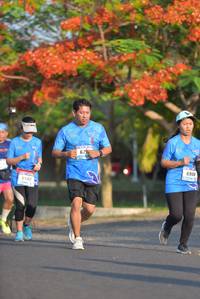 BIB: 6908, 6503
                            <button type="button" onclick="openModal(3100176)" class="btn btn-primary btn-sm float-right btn-popup" data-toggle="modal" data-target=".modal-high-quality">
                        <i class="fas fa-shopping-cart"></i> Add to Cart
                    </button>
                                            <button type="button" onclick="isThisMe(3100176, true)" class="btn btn-success btn-sm float-right btn-popup btn-isme hidden" data-toggle="tooltip" data-placement="bottom" title="นี่คือรูปของคุณใช่ไหม คลิกที่นี่เพื่อเอาเข้าอัลบั้ม">
                        <i class="fas fa-plus"></i> Add to album
                    </button>
                    <button type="button" onclick="isThisMe(3100176, false)" class="btn btn-warning btn-sm float-right btn-popup btn-isnotme hidden">
                        <i class="fas fa-ban"></i> Remove from album
                    </button>