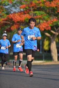 BIB: 
                            <button type="button" onclick="openModal(3097297)" class="btn btn-primary btn-sm float-right btn-popup" data-toggle="modal" data-target=".modal-high-quality">
                        <i class="fas fa-shopping-cart"></i> Add to Cart
                    </button>
                                            <button type="button" onclick="isThisMe(3097297, true)" class="btn btn-success btn-sm float-right btn-popup btn-isme hidden" data-toggle="tooltip" data-placement="bottom" title="นี่คือรูปของคุณใช่ไหม คลิกที่นี่เพื่อเอาเข้าอัลบั้ม">
                        <i class="fas fa-plus"></i> Add to album
                    </button>
                    <button type="button" onclick="isThisMe(3097297, false)" class="btn btn-warning btn-sm float-right btn-popup btn-isnotme hidden">
                        <i class="fas fa-ban"></i> Remove from album
                    </button>