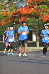 BIB: 
                            <button type="button" onclick="openModal(3100170)" class="btn btn-primary btn-sm float-right btn-popup" data-toggle="modal" data-target=".modal-high-quality">
                        <i class="fas fa-shopping-cart"></i> Add to Cart
                    </button>
                                            <button type="button" onclick="isThisMe(3100170, true)" class="btn btn-success btn-sm float-right btn-popup btn-isme hidden" data-toggle="tooltip" data-placement="bottom" title="นี่คือรูปของคุณใช่ไหม คลิกที่นี่เพื่อเอาเข้าอัลบั้ม">
                        <i class="fas fa-plus"></i> Add to album
                    </button>
                    <button type="button" onclick="isThisMe(3100170, false)" class="btn btn-warning btn-sm float-right btn-popup btn-isnotme hidden">
                        <i class="fas fa-ban"></i> Remove from album
                    </button>