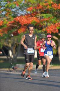 BIB: 7254, 6398
                            <button type="button" onclick="openModal(3097135)" class="btn btn-primary btn-sm float-right btn-popup" data-toggle="modal" data-target=".modal-high-quality">
                        <i class="fas fa-shopping-cart"></i> Add to Cart
                    </button>
                                            <button type="button" onclick="isThisMe(3097135, true)" class="btn btn-success btn-sm float-right btn-popup btn-isme hidden" data-toggle="tooltip" data-placement="bottom" title="นี่คือรูปของคุณใช่ไหม คลิกที่นี่เพื่อเอาเข้าอัลบั้ม">
                        <i class="fas fa-plus"></i> Add to album
                    </button>
                    <button type="button" onclick="isThisMe(3097135, false)" class="btn btn-warning btn-sm float-right btn-popup btn-isnotme hidden">
                        <i class="fas fa-ban"></i> Remove from album
                    </button>