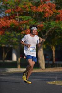 BIB: 6223
                            <button type="button" onclick="openModal(3096324)" class="btn btn-primary btn-sm float-right btn-popup" data-toggle="modal" data-target=".modal-high-quality">
                        <i class="fas fa-shopping-cart"></i> Add to Cart
                    </button>
                                            <button type="button" onclick="isThisMe(3096324, true)" class="btn btn-success btn-sm float-right btn-popup btn-isme hidden" data-toggle="tooltip" data-placement="bottom" title="นี่คือรูปของคุณใช่ไหม คลิกที่นี่เพื่อเอาเข้าอัลบั้ม">
                        <i class="fas fa-plus"></i> Add to album
                    </button>
                    <button type="button" onclick="isThisMe(3096324, false)" class="btn btn-warning btn-sm float-right btn-popup btn-isnotme hidden">
                        <i class="fas fa-ban"></i> Remove from album
                    </button>