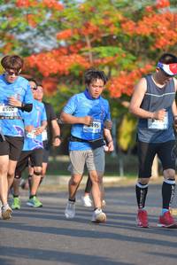 BIB: 
                            <button type="button" onclick="openModal(3099970)" class="btn btn-primary btn-sm float-right btn-popup" data-toggle="modal" data-target=".modal-high-quality">
                        <i class="fas fa-shopping-cart"></i> Add to Cart
                    </button>
                                            <button type="button" onclick="isThisMe(3099970, true)" class="btn btn-success btn-sm float-right btn-popup btn-isme hidden" data-toggle="tooltip" data-placement="bottom" title="นี่คือรูปของคุณใช่ไหม คลิกที่นี่เพื่อเอาเข้าอัลบั้ม">
                        <i class="fas fa-plus"></i> Add to album
                    </button>
                    <button type="button" onclick="isThisMe(3099970, false)" class="btn btn-warning btn-sm float-right btn-popup btn-isnotme hidden">
                        <i class="fas fa-ban"></i> Remove from album
                    </button>