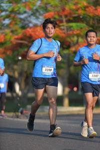 BIB: 7208, 7207
                            <button type="button" onclick="openModal(3097311)" class="btn btn-primary btn-sm float-right btn-popup" data-toggle="modal" data-target=".modal-high-quality">
                        <i class="fas fa-shopping-cart"></i> Add to Cart
                    </button>
                                            <button type="button" onclick="isThisMe(3097311, true)" class="btn btn-success btn-sm float-right btn-popup btn-isme hidden" data-toggle="tooltip" data-placement="bottom" title="นี่คือรูปของคุณใช่ไหม คลิกที่นี่เพื่อเอาเข้าอัลบั้ม">
                        <i class="fas fa-plus"></i> Add to album
                    </button>
                    <button type="button" onclick="isThisMe(3097311, false)" class="btn btn-warning btn-sm float-right btn-popup btn-isnotme hidden">
                        <i class="fas fa-ban"></i> Remove from album
                    </button>