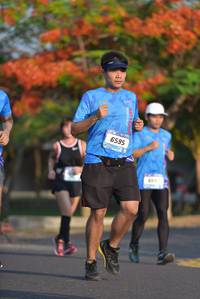 BIB: 6595
                            <button type="button" onclick="openModal(3099298)" class="btn btn-primary btn-sm float-right btn-popup" data-toggle="modal" data-target=".modal-high-quality">
                        <i class="fas fa-shopping-cart"></i> Add to Cart
                    </button>
                                            <button type="button" onclick="isThisMe(3099298, true)" class="btn btn-success btn-sm float-right btn-popup btn-isme hidden" data-toggle="tooltip" data-placement="bottom" title="นี่คือรูปของคุณใช่ไหม คลิกที่นี่เพื่อเอาเข้าอัลบั้ม">
                        <i class="fas fa-plus"></i> Add to album
                    </button>
                    <button type="button" onclick="isThisMe(3099298, false)" class="btn btn-warning btn-sm float-right btn-popup btn-isnotme hidden">
                        <i class="fas fa-ban"></i> Remove from album
                    </button>