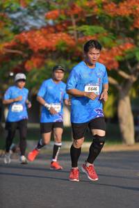 BIB: 6646
                            <button type="button" onclick="openModal(3097299)" class="btn btn-primary btn-sm float-right btn-popup" data-toggle="modal" data-target=".modal-high-quality">
                        <i class="fas fa-shopping-cart"></i> Add to Cart
                    </button>
                                            <button type="button" onclick="isThisMe(3097299, true)" class="btn btn-success btn-sm float-right btn-popup btn-isme hidden" data-toggle="tooltip" data-placement="bottom" title="นี่คือรูปของคุณใช่ไหม คลิกที่นี่เพื่อเอาเข้าอัลบั้ม">
                        <i class="fas fa-plus"></i> Add to album
                    </button>
                    <button type="button" onclick="isThisMe(3097299, false)" class="btn btn-warning btn-sm float-right btn-popup btn-isnotme hidden">
                        <i class="fas fa-ban"></i> Remove from album
                    </button>