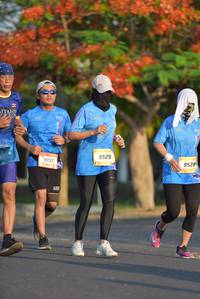 BIB: 9529, 9131, 9528
                            <button type="button" onclick="openModal(3136140)" class="btn btn-primary btn-sm float-right btn-popup" data-toggle="modal" data-target=".modal-high-quality">
                        <i class="fas fa-shopping-cart"></i> Add to Cart
                    </button>
                                            <button type="button" onclick="isThisMe(3136140, true)" class="btn btn-success btn-sm float-right btn-popup btn-isme hidden" data-toggle="tooltip" data-placement="bottom" title="นี่คือรูปของคุณใช่ไหม คลิกที่นี่เพื่อเอาเข้าอัลบั้ม">
                        <i class="fas fa-plus"></i> Add to album
                    </button>
                    <button type="button" onclick="isThisMe(3136140, false)" class="btn btn-warning btn-sm float-right btn-popup btn-isnotme hidden">
                        <i class="fas fa-ban"></i> Remove from album
                    </button>