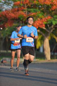 BIB: 8652
                            <button type="button" onclick="openModal(3136990)" class="btn btn-primary btn-sm float-right btn-popup" data-toggle="modal" data-target=".modal-high-quality">
                        <i class="fas fa-shopping-cart"></i> Add to Cart
                    </button>
                                            <button type="button" onclick="isThisMe(3136990, true)" class="btn btn-success btn-sm float-right btn-popup btn-isme hidden" data-toggle="tooltip" data-placement="bottom" title="นี่คือรูปของคุณใช่ไหม คลิกที่นี่เพื่อเอาเข้าอัลบั้ม">
                        <i class="fas fa-plus"></i> Add to album
                    </button>
                    <button type="button" onclick="isThisMe(3136990, false)" class="btn btn-warning btn-sm float-right btn-popup btn-isnotme hidden">
                        <i class="fas fa-ban"></i> Remove from album
                    </button>