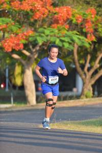 BIB: 6556
                            <button type="button" onclick="openModal(3133518)" class="btn btn-primary btn-sm float-right btn-popup" data-toggle="modal" data-target=".modal-high-quality">
                        <i class="fas fa-shopping-cart"></i> Add to Cart
                    </button>
                                            <button type="button" onclick="isThisMe(3133518, true)" class="btn btn-success btn-sm float-right btn-popup btn-isme hidden" data-toggle="tooltip" data-placement="bottom" title="นี่คือรูปของคุณใช่ไหม คลิกที่นี่เพื่อเอาเข้าอัลบั้ม">
                        <i class="fas fa-plus"></i> Add to album
                    </button>
                    <button type="button" onclick="isThisMe(3133518, false)" class="btn btn-warning btn-sm float-right btn-popup btn-isnotme hidden">
                        <i class="fas fa-ban"></i> Remove from album
                    </button>