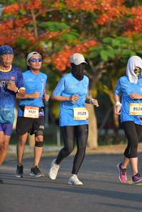 BIB: 9526, 9131, 9529
                            <button type="button" onclick="openModal(3136147)" class="btn btn-primary btn-sm float-right btn-popup" data-toggle="modal" data-target=".modal-high-quality">
                        <i class="fas fa-shopping-cart"></i> Add to Cart
                    </button>
                                            <button type="button" onclick="isThisMe(3136147, true)" class="btn btn-success btn-sm float-right btn-popup btn-isme hidden" data-toggle="tooltip" data-placement="bottom" title="นี่คือรูปของคุณใช่ไหม คลิกที่นี่เพื่อเอาเข้าอัลบั้ม">
                        <i class="fas fa-plus"></i> Add to album
                    </button>
                    <button type="button" onclick="isThisMe(3136147, false)" class="btn btn-warning btn-sm float-right btn-popup btn-isnotme hidden">
                        <i class="fas fa-ban"></i> Remove from album
                    </button>