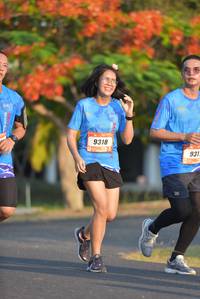 BIB: 
                            <button type="button" onclick="openModal(3136705)" class="btn btn-primary btn-sm float-right btn-popup" data-toggle="modal" data-target=".modal-high-quality">
                        <i class="fas fa-shopping-cart"></i> Add to Cart
                    </button>
                                            <button type="button" onclick="isThisMe(3136705, true)" class="btn btn-success btn-sm float-right btn-popup btn-isme hidden" data-toggle="tooltip" data-placement="bottom" title="นี่คือรูปของคุณใช่ไหม คลิกที่นี่เพื่อเอาเข้าอัลบั้ม">
                        <i class="fas fa-plus"></i> Add to album
                    </button>
                    <button type="button" onclick="isThisMe(3136705, false)" class="btn btn-warning btn-sm float-right btn-popup btn-isnotme hidden">
                        <i class="fas fa-ban"></i> Remove from album
                    </button>