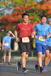 BIB: 9293, 9295
                            <button type="button" onclick="openModal(3137041)" class="btn btn-primary btn-sm float-right btn-popup" data-toggle="modal" data-target=".modal-high-quality">
                        <i class="fas fa-shopping-cart"></i> Add to Cart
                    </button>
                                            <button type="button" onclick="isThisMe(3137041, true)" class="btn btn-success btn-sm float-right btn-popup btn-isme hidden" data-toggle="tooltip" data-placement="bottom" title="นี่คือรูปของคุณใช่ไหม คลิกที่นี่เพื่อเอาเข้าอัลบั้ม">
                        <i class="fas fa-plus"></i> Add to album
                    </button>
                    <button type="button" onclick="isThisMe(3137041, false)" class="btn btn-warning btn-sm float-right btn-popup btn-isnotme hidden">
                        <i class="fas fa-ban"></i> Remove from album
                    </button>