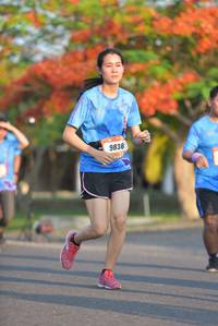 BIB: 9838
                            <button type="button" onclick="openModal(3138006)" class="btn btn-primary btn-sm float-right btn-popup" data-toggle="modal" data-target=".modal-high-quality">
                        <i class="fas fa-shopping-cart"></i> Add to Cart
                    </button>
                                            <button type="button" onclick="isThisMe(3138006, true)" class="btn btn-success btn-sm float-right btn-popup btn-isme hidden" data-toggle="tooltip" data-placement="bottom" title="นี่คือรูปของคุณใช่ไหม คลิกที่นี่เพื่อเอาเข้าอัลบั้ม">
                        <i class="fas fa-plus"></i> Add to album
                    </button>
                    <button type="button" onclick="isThisMe(3138006, false)" class="btn btn-warning btn-sm float-right btn-popup btn-isnotme hidden">
                        <i class="fas fa-ban"></i> Remove from album
                    </button>