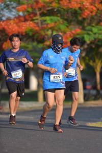 BIB: 6917, 6831, 6221
                            <button type="button" onclick="openModal(3133459)" class="btn btn-primary btn-sm float-right btn-popup" data-toggle="modal" data-target=".modal-high-quality">
                        <i class="fas fa-shopping-cart"></i> Add to Cart
                    </button>
                                            <button type="button" onclick="isThisMe(3133459, true)" class="btn btn-success btn-sm float-right btn-popup btn-isme hidden" data-toggle="tooltip" data-placement="bottom" title="นี่คือรูปของคุณใช่ไหม คลิกที่นี่เพื่อเอาเข้าอัลบั้ม">
                        <i class="fas fa-plus"></i> Add to album
                    </button>
                    <button type="button" onclick="isThisMe(3133459, false)" class="btn btn-warning btn-sm float-right btn-popup btn-isnotme hidden">
                        <i class="fas fa-ban"></i> Remove from album
                    </button>