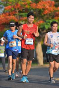 BIB: 2019, 6317, 6315, 
                            <button type="button" onclick="openModal(3135257)" class="btn btn-primary btn-sm float-right btn-popup" data-toggle="modal" data-target=".modal-high-quality">
                        <i class="fas fa-shopping-cart"></i> Add to Cart
                    </button>
                                            <button type="button" onclick="isThisMe(3135257, true)" class="btn btn-success btn-sm float-right btn-popup btn-isme hidden" data-toggle="tooltip" data-placement="bottom" title="นี่คือรูปของคุณใช่ไหม คลิกที่นี่เพื่อเอาเข้าอัลบั้ม">
                        <i class="fas fa-plus"></i> Add to album
                    </button>
                    <button type="button" onclick="isThisMe(3135257, false)" class="btn btn-warning btn-sm float-right btn-popup btn-isnotme hidden">
                        <i class="fas fa-ban"></i> Remove from album
                    </button>