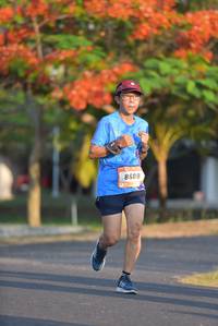 BIB: 8608
                            <button type="button" onclick="openModal(3135496)" class="btn btn-primary btn-sm float-right btn-popup" data-toggle="modal" data-target=".modal-high-quality">
                        <i class="fas fa-shopping-cart"></i> Add to Cart
                    </button>
                                            <button type="button" onclick="isThisMe(3135496, true)" class="btn btn-success btn-sm float-right btn-popup btn-isme hidden" data-toggle="tooltip" data-placement="bottom" title="นี่คือรูปของคุณใช่ไหม คลิกที่นี่เพื่อเอาเข้าอัลบั้ม">
                        <i class="fas fa-plus"></i> Add to album
                    </button>
                    <button type="button" onclick="isThisMe(3135496, false)" class="btn btn-warning btn-sm float-right btn-popup btn-isnotme hidden">
                        <i class="fas fa-ban"></i> Remove from album
                    </button>