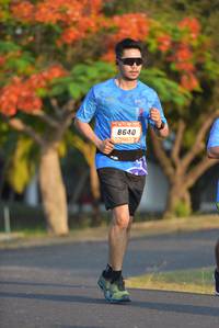 BIB: 8640
                            <button type="button" onclick="openModal(3137617)" class="btn btn-primary btn-sm float-right btn-popup" data-toggle="modal" data-target=".modal-high-quality">
                        <i class="fas fa-shopping-cart"></i> Add to Cart
                    </button>
                                            <button type="button" onclick="isThisMe(3137617, true)" class="btn btn-success btn-sm float-right btn-popup btn-isme hidden" data-toggle="tooltip" data-placement="bottom" title="นี่คือรูปของคุณใช่ไหม คลิกที่นี่เพื่อเอาเข้าอัลบั้ม">
                        <i class="fas fa-plus"></i> Add to album
                    </button>
                    <button type="button" onclick="isThisMe(3137617, false)" class="btn btn-warning btn-sm float-right btn-popup btn-isnotme hidden">
                        <i class="fas fa-ban"></i> Remove from album
                    </button>