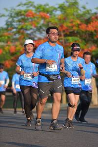 BIB: 611, 623, 6384
                            <button type="button" onclick="openModal(3133833)" class="btn btn-primary btn-sm float-right btn-popup" data-toggle="modal" data-target=".modal-high-quality">
                        <i class="fas fa-shopping-cart"></i> Add to Cart
                    </button>
                                            <button type="button" onclick="isThisMe(3133833, true)" class="btn btn-success btn-sm float-right btn-popup btn-isme hidden" data-toggle="tooltip" data-placement="bottom" title="นี่คือรูปของคุณใช่ไหม คลิกที่นี่เพื่อเอาเข้าอัลบั้ม">
                        <i class="fas fa-plus"></i> Add to album
                    </button>
                    <button type="button" onclick="isThisMe(3133833, false)" class="btn btn-warning btn-sm float-right btn-popup btn-isnotme hidden">
                        <i class="fas fa-ban"></i> Remove from album
                    </button>