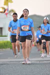 BIB: 8855
                            <button type="button" onclick="openModal(3148380)" class="btn btn-primary btn-sm float-right btn-popup" data-toggle="modal" data-target=".modal-high-quality">
                        <i class="fas fa-shopping-cart"></i> Add to Cart
                    </button>
                                            <button type="button" onclick="isThisMe(3148380, true)" class="btn btn-success btn-sm float-right btn-popup btn-isme hidden" data-toggle="tooltip" data-placement="bottom" title="นี่คือรูปของคุณใช่ไหม คลิกที่นี่เพื่อเอาเข้าอัลบั้ม">
                        <i class="fas fa-plus"></i> Add to album
                    </button>
                    <button type="button" onclick="isThisMe(3148380, false)" class="btn btn-warning btn-sm float-right btn-popup btn-isnotme hidden">
                        <i class="fas fa-ban"></i> Remove from album
                    </button>