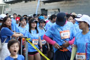 BIB: 8512, 8160, 9442, 8175
                            <button type="button" onclick="openModal(3347975)" class="btn btn-primary btn-sm float-right btn-popup" data-toggle="modal" data-target=".modal-high-quality">
                        <i class="fas fa-shopping-cart"></i> Add to Cart
                    </button>
                                            <button type="button" onclick="isThisMe(3347975, true)" class="btn btn-success btn-sm float-right btn-popup btn-isme hidden" data-toggle="tooltip" data-placement="bottom" title="นี่คือรูปของคุณใช่ไหม คลิกที่นี่เพื่อเอาเข้าอัลบั้ม">
                        <i class="fas fa-plus"></i> Add to album
                    </button>
                    <button type="button" onclick="isThisMe(3347975, false)" class="btn btn-warning btn-sm float-right btn-popup btn-isnotme hidden">
                        <i class="fas fa-ban"></i> Remove from album
                    </button>