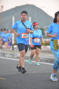 BIB: 8600, 3041
                            <button type="button" onclick="openModal(3297118)" class="btn btn-primary btn-sm float-right btn-popup" data-toggle="modal" data-target=".modal-high-quality">
                        <i class="fas fa-shopping-cart"></i> Add to Cart
                    </button>
                                            <button type="button" onclick="isThisMe(3297118, true)" class="btn btn-success btn-sm float-right btn-popup btn-isme hidden" data-toggle="tooltip" data-placement="bottom" title="นี่คือรูปของคุณใช่ไหม คลิกที่นี่เพื่อเอาเข้าอัลบั้ม">
                        <i class="fas fa-plus"></i> Add to album
                    </button>
                    <button type="button" onclick="isThisMe(3297118, false)" class="btn btn-warning btn-sm float-right btn-popup btn-isnotme hidden">
                        <i class="fas fa-ban"></i> Remove from album
                    </button>
