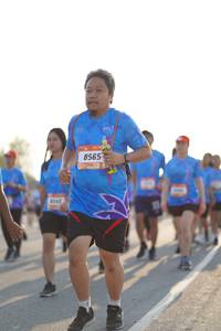 BIB: 8565
                            <button type="button" onclick="openModal(3304594)" class="btn btn-primary btn-sm float-right btn-popup" data-toggle="modal" data-target=".modal-high-quality">
                        <i class="fas fa-shopping-cart"></i> Add to Cart
                    </button>
                                            <button type="button" onclick="isThisMe(3304594, true)" class="btn btn-success btn-sm float-right btn-popup btn-isme hidden" data-toggle="tooltip" data-placement="bottom" title="นี่คือรูปของคุณใช่ไหม คลิกที่นี่เพื่อเอาเข้าอัลบั้ม">
                        <i class="fas fa-plus"></i> Add to album
                    </button>
                    <button type="button" onclick="isThisMe(3304594, false)" class="btn btn-warning btn-sm float-right btn-popup btn-isnotme hidden">
                        <i class="fas fa-ban"></i> Remove from album
                    </button>