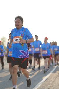 BIB: 856
                            <button type="button" onclick="openModal(3304598)" class="btn btn-primary btn-sm float-right btn-popup" data-toggle="modal" data-target=".modal-high-quality">
                        <i class="fas fa-shopping-cart"></i> Add to Cart
                    </button>
                                            <button type="button" onclick="isThisMe(3304598, true)" class="btn btn-success btn-sm float-right btn-popup btn-isme hidden" data-toggle="tooltip" data-placement="bottom" title="นี่คือรูปของคุณใช่ไหม คลิกที่นี่เพื่อเอาเข้าอัลบั้ม">
                        <i class="fas fa-plus"></i> Add to album
                    </button>
                    <button type="button" onclick="isThisMe(3304598, false)" class="btn btn-warning btn-sm float-right btn-popup btn-isnotme hidden">
                        <i class="fas fa-ban"></i> Remove from album
                    </button>