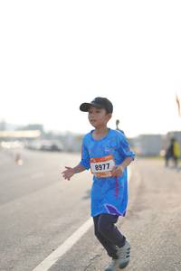 BIB: 8977
                            <button type="button" onclick="openModal(3305606)" class="btn btn-primary btn-sm float-right btn-popup" data-toggle="modal" data-target=".modal-high-quality">
                        <i class="fas fa-shopping-cart"></i> Add to Cart
                    </button>
                                            <button type="button" onclick="isThisMe(3305606, true)" class="btn btn-success btn-sm float-right btn-popup btn-isme hidden" data-toggle="tooltip" data-placement="bottom" title="นี่คือรูปของคุณใช่ไหม คลิกที่นี่เพื่อเอาเข้าอัลบั้ม">
                        <i class="fas fa-plus"></i> Add to album
                    </button>
                    <button type="button" onclick="isThisMe(3305606, false)" class="btn btn-warning btn-sm float-right btn-popup btn-isnotme hidden">
                        <i class="fas fa-ban"></i> Remove from album
                    </button>