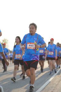 BIB: 8565, 342
                            <button type="button" onclick="openModal(3304593)" class="btn btn-primary btn-sm float-right btn-popup" data-toggle="modal" data-target=".modal-high-quality">
                        <i class="fas fa-shopping-cart"></i> Add to Cart
                    </button>
                                            <button type="button" onclick="isThisMe(3304593, true)" class="btn btn-success btn-sm float-right btn-popup btn-isme hidden" data-toggle="tooltip" data-placement="bottom" title="นี่คือรูปของคุณใช่ไหม คลิกที่นี่เพื่อเอาเข้าอัลบั้ม">
                        <i class="fas fa-plus"></i> Add to album
                    </button>
                    <button type="button" onclick="isThisMe(3304593, false)" class="btn btn-warning btn-sm float-right btn-popup btn-isnotme hidden">
                        <i class="fas fa-ban"></i> Remove from album
                    </button>