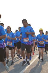 BIB: 8305, 9454, 8304
                            <button type="button" onclick="openModal(3304290)" class="btn btn-primary btn-sm float-right btn-popup" data-toggle="modal" data-target=".modal-high-quality">
                        <i class="fas fa-shopping-cart"></i> Add to Cart
                    </button>
                                            <button type="button" onclick="isThisMe(3304290, true)" class="btn btn-success btn-sm float-right btn-popup btn-isme hidden" data-toggle="tooltip" data-placement="bottom" title="นี่คือรูปของคุณใช่ไหม คลิกที่นี่เพื่อเอาเข้าอัลบั้ม">
                        <i class="fas fa-plus"></i> Add to album
                    </button>
                    <button type="button" onclick="isThisMe(3304290, false)" class="btn btn-warning btn-sm float-right btn-popup btn-isnotme hidden">
                        <i class="fas fa-ban"></i> Remove from album
                    </button>