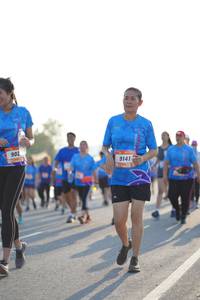 BIB: 902, 9141
                            <button type="button" onclick="openModal(3304949)" class="btn btn-primary btn-sm float-right btn-popup" data-toggle="modal" data-target=".modal-high-quality">
                        <i class="fas fa-shopping-cart"></i> Add to Cart
                    </button>
                                            <button type="button" onclick="isThisMe(3304949, true)" class="btn btn-success btn-sm float-right btn-popup btn-isme hidden" data-toggle="tooltip" data-placement="bottom" title="นี่คือรูปของคุณใช่ไหม คลิกที่นี่เพื่อเอาเข้าอัลบั้ม">
                        <i class="fas fa-plus"></i> Add to album
                    </button>
                    <button type="button" onclick="isThisMe(3304949, false)" class="btn btn-warning btn-sm float-right btn-popup btn-isnotme hidden">
                        <i class="fas fa-ban"></i> Remove from album
                    </button>