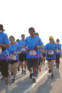 BIB: 8305, 8304
                            <button type="button" onclick="openModal(3304274)" class="btn btn-primary btn-sm float-right btn-popup" data-toggle="modal" data-target=".modal-high-quality">
                        <i class="fas fa-shopping-cart"></i> Add to Cart
                    </button>
                                            <button type="button" onclick="isThisMe(3304274, true)" class="btn btn-success btn-sm float-right btn-popup btn-isme hidden" data-toggle="tooltip" data-placement="bottom" title="นี่คือรูปของคุณใช่ไหม คลิกที่นี่เพื่อเอาเข้าอัลบั้ม">
                        <i class="fas fa-plus"></i> Add to album
                    </button>
                    <button type="button" onclick="isThisMe(3304274, false)" class="btn btn-warning btn-sm float-right btn-popup btn-isnotme hidden">
                        <i class="fas fa-ban"></i> Remove from album
                    </button>