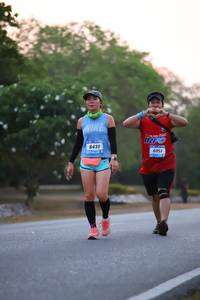 BIB: 6431, 6051
                            <button type="button" onclick="openModal(3213047)" class="btn btn-primary btn-sm float-right btn-popup" data-toggle="modal" data-target=".modal-high-quality">
                        <i class="fas fa-shopping-cart"></i> Add to Cart
                    </button>
                                            <button type="button" onclick="isThisMe(3213047, true)" class="btn btn-success btn-sm float-right btn-popup btn-isme hidden" data-toggle="tooltip" data-placement="bottom" title="นี่คือรูปของคุณใช่ไหม คลิกที่นี่เพื่อเอาเข้าอัลบั้ม">
                        <i class="fas fa-plus"></i> Add to album
                    </button>
                    <button type="button" onclick="isThisMe(3213047, false)" class="btn btn-warning btn-sm float-right btn-popup btn-isnotme hidden">
                        <i class="fas fa-ban"></i> Remove from album
                    </button>