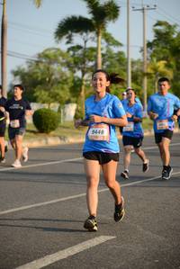 BIB: 9448
                            <button type="button" onclick="openModal(3321303)" class="btn btn-primary btn-sm float-right btn-popup" data-toggle="modal" data-target=".modal-high-quality">
                        <i class="fas fa-shopping-cart"></i> Add to Cart
                    </button>
                                            <button type="button" onclick="isThisMe(3321303, true)" class="btn btn-success btn-sm float-right btn-popup btn-isme hidden" data-toggle="tooltip" data-placement="bottom" title="นี่คือรูปของคุณใช่ไหม คลิกที่นี่เพื่อเอาเข้าอัลบั้ม">
                        <i class="fas fa-plus"></i> Add to album
                    </button>
                    <button type="button" onclick="isThisMe(3321303, false)" class="btn btn-warning btn-sm float-right btn-popup btn-isnotme hidden">
                        <i class="fas fa-ban"></i> Remove from album
                    </button>