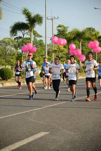 BIB: 
                            <button type="button" onclick="openModal(3319261)" class="btn btn-primary btn-sm float-right btn-popup" data-toggle="modal" data-target=".modal-high-quality">
                        <i class="fas fa-shopping-cart"></i> Add to Cart
                    </button>
                                            <button type="button" onclick="isThisMe(3319261, true)" class="btn btn-success btn-sm float-right btn-popup btn-isme hidden" data-toggle="tooltip" data-placement="bottom" title="นี่คือรูปของคุณใช่ไหม คลิกที่นี่เพื่อเอาเข้าอัลบั้ม">
                        <i class="fas fa-plus"></i> Add to album
                    </button>
                    <button type="button" onclick="isThisMe(3319261, false)" class="btn btn-warning btn-sm float-right btn-popup btn-isnotme hidden">
                        <i class="fas fa-ban"></i> Remove from album
                    </button>