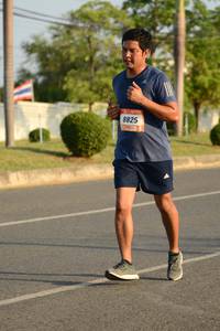 BIB: 8825
                            <button type="button" onclick="openModal(3320449)" class="btn btn-primary btn-sm float-right btn-popup" data-toggle="modal" data-target=".modal-high-quality">
                        <i class="fas fa-shopping-cart"></i> Add to Cart
                    </button>
                                            <button type="button" onclick="isThisMe(3320449, true)" class="btn btn-success btn-sm float-right btn-popup btn-isme hidden" data-toggle="tooltip" data-placement="bottom" title="นี่คือรูปของคุณใช่ไหม คลิกที่นี่เพื่อเอาเข้าอัลบั้ม">
                        <i class="fas fa-plus"></i> Add to album
                    </button>
                    <button type="button" onclick="isThisMe(3320449, false)" class="btn btn-warning btn-sm float-right btn-popup btn-isnotme hidden">
                        <i class="fas fa-ban"></i> Remove from album
                    </button>