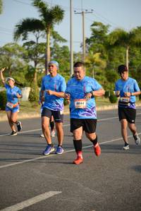 BIB: 
                            <button type="button" onclick="openModal(3321071)" class="btn btn-primary btn-sm float-right btn-popup" data-toggle="modal" data-target=".modal-high-quality">
                        <i class="fas fa-shopping-cart"></i> Add to Cart
                    </button>
                                            <button type="button" onclick="isThisMe(3321071, true)" class="btn btn-success btn-sm float-right btn-popup btn-isme hidden" data-toggle="tooltip" data-placement="bottom" title="นี่คือรูปของคุณใช่ไหม คลิกที่นี่เพื่อเอาเข้าอัลบั้ม">
                        <i class="fas fa-plus"></i> Add to album
                    </button>
                    <button type="button" onclick="isThisMe(3321071, false)" class="btn btn-warning btn-sm float-right btn-popup btn-isnotme hidden">
                        <i class="fas fa-ban"></i> Remove from album
                    </button>